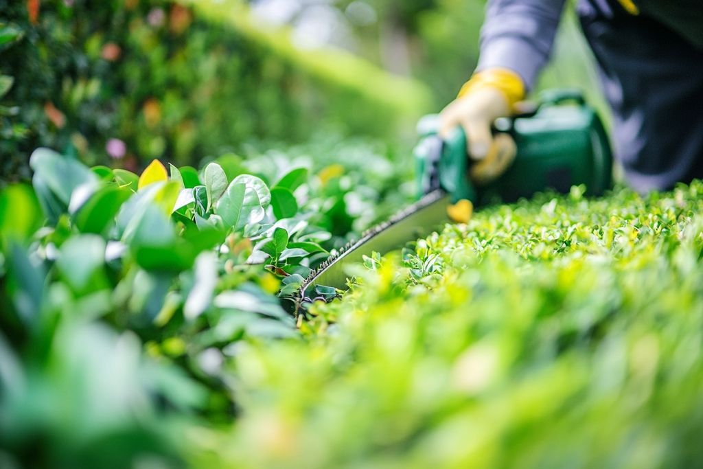 JLP Nettoyage Espaces Verts : Votre Artisan de Confiance pour un Nettoyage et Entretien de Qualité à Domicile - Devis Gratuit !